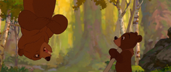 Brother-bear-disneyscreencaps