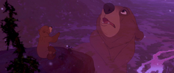 Brother-bear-disneyscreencaps