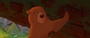 Brother-bear-disneyscreencaps.com-3317