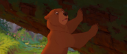 Brother-bear-disneyscreencaps.com-3369