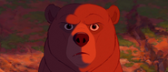 Brother-bear-disneyscreencaps.com-5738