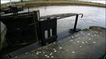 La Barquette Locks (2).jpg