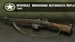 The Browning Automatic Rifle (1)