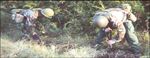 Col. Antal's Field Training Exercise for Gearbox (5)