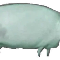 Brother May I Have Some Oats Wiki Fandom