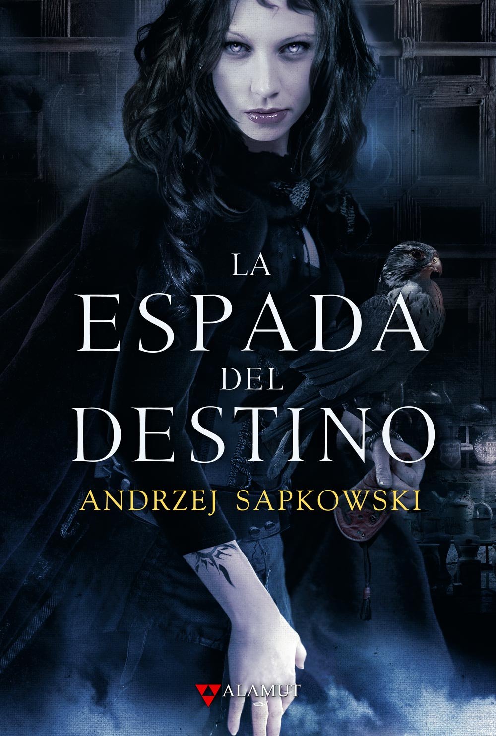 Orden de lectura de la saga THE WITCHER – Cadabra & Books