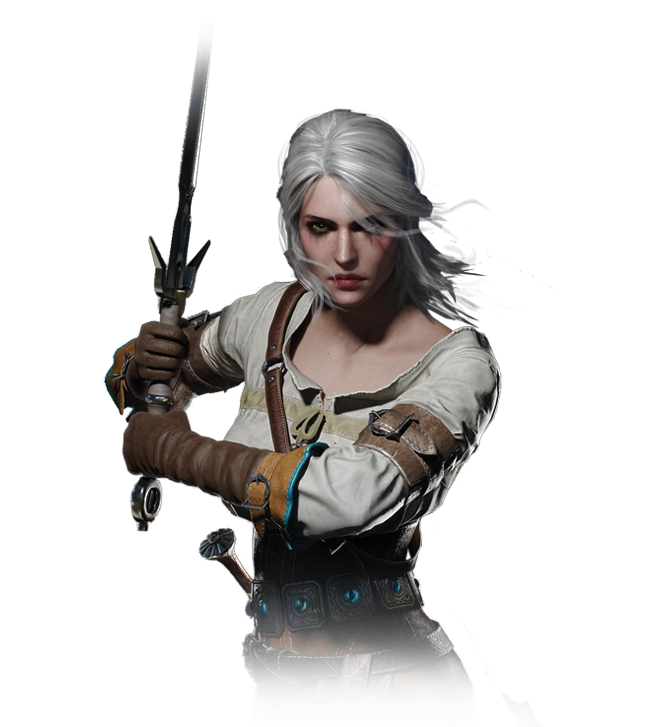 La torre golondrina. Saga de Geralt de Rivia The Witcher VI - OSO