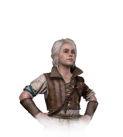 TW3 Diario Ciri niña