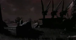 Hunter Camp Interior