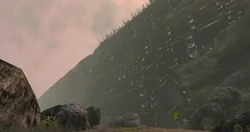 Screaming Wall Landmark