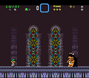 Bowser Unfinished Fight