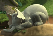 Horton hides in the ground