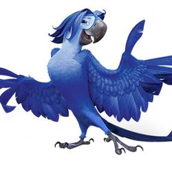 Category Rio Characters Blue Sky Studios Wiki Fandom Category Rio Characters Blue Sky Studios Wiki Fandom