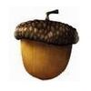 Scrat's Acorn