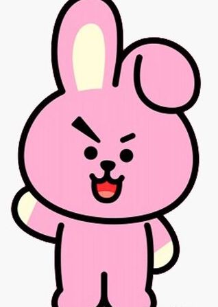 BT21 cooky - K-POP/アジア