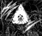 Efecto de la BIM Barrera.