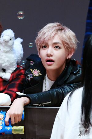 BTS  IMAGE FLAG ［V］ BTS V 