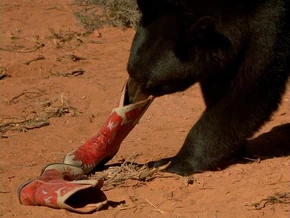 Vlcsnap-2009-10-11-22h21m274s124