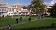 The square in 1955.