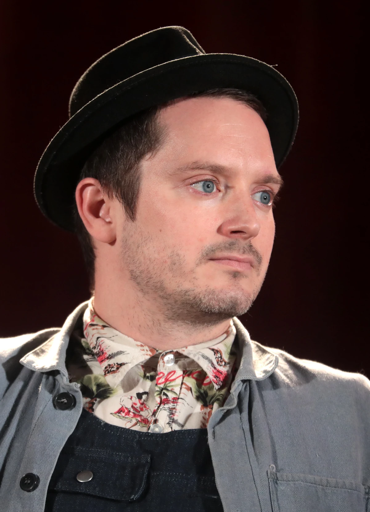 Elijah Wood | RegresoPedia | Fandom