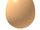 Common Egg