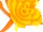 Lovely Rose
