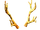 Gold Antlers