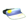 Sun Visor