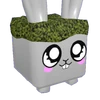 Mossy Bunny