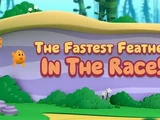 The Fastest Feather in the Race!