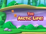 The Arctic Life!