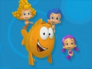 Gil, Deema, Oona and Mr. Grouper