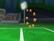 The Circle of Fish
