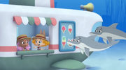 Dolphin H.png