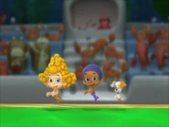 Goby, Deema and Bubble Puppy