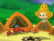 The campsiter.png