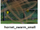 Hornet Swarm (Small)