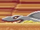 Sand Shark