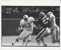 Edward Williams, Buccaneers-Seahawks Wikia