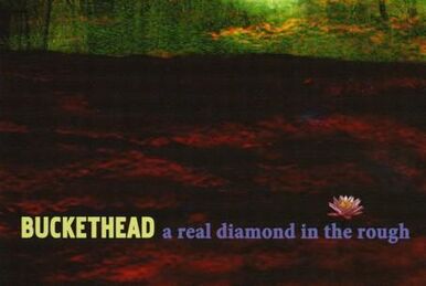 A Real Diamond In The Rough | Buckethead | Bucketheadland