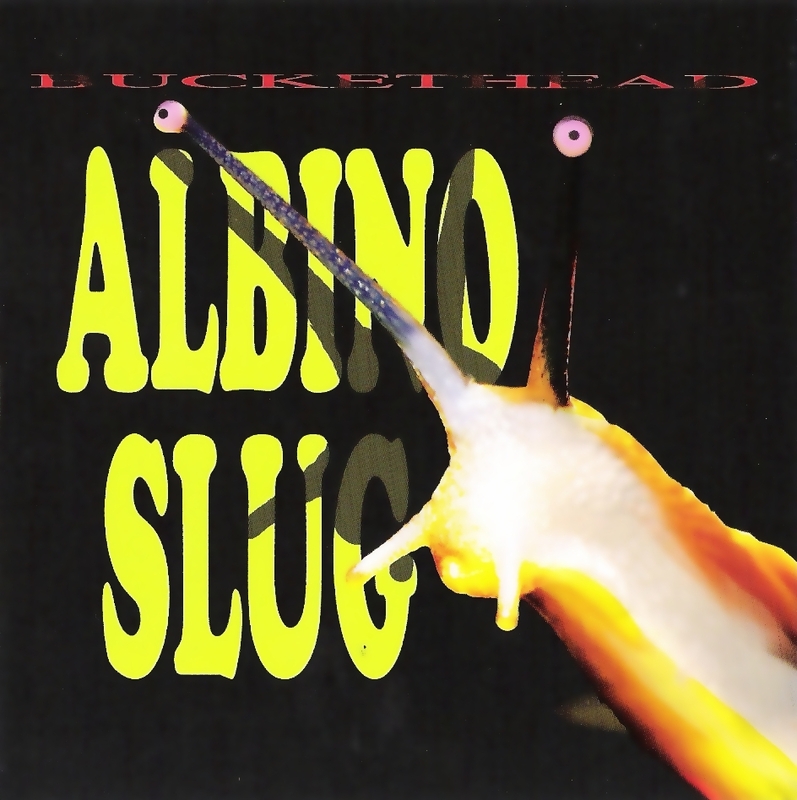 Albino Slug | Bucketheadland Wiki | Fandom
