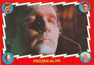 5. Frozen alive