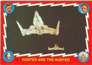 74. Hunter and the hunted