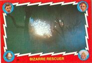 26. Bizarre rescuer