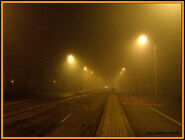 Fog in Bucharest-1046