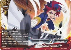 パニッシャー ガッツアンドガンパウダー トレカ カード アメコミ パニッシャー ガッツアンドガンパウダー トレカ カード アメコミ
