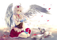 Lovely Angel, Nice Heart.jpg