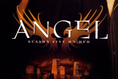 Angel Season Four on DVD | Buffyverse Wiki | Fandom