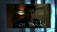 David Boreanaz