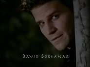 David Boreanaz